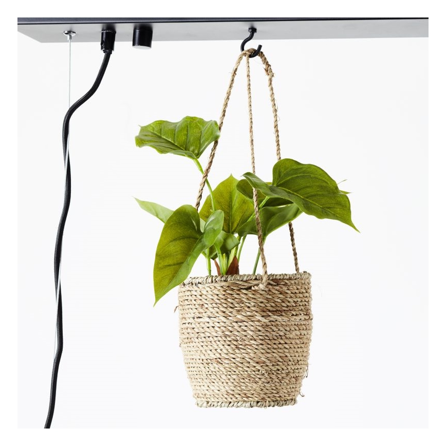 Brilliant - Lampadario sospeso su cavo BANKWOOD 5xE27/28W/230V pioppo