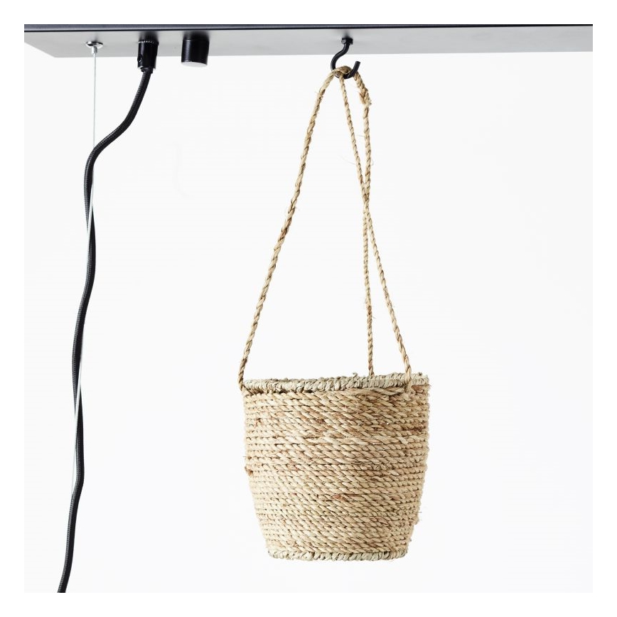 Brilliant - Lampadario sospeso su cavo BANKWOOD 5xE27/28W/230V pioppo