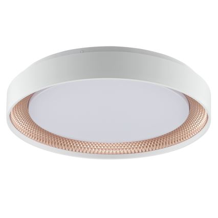 Brilliant - Plafoniera dimmerabile LED WALDO LED/24W/230V 3000-6500K Ø 38,5 cm bianco/oro rosa + telecomando