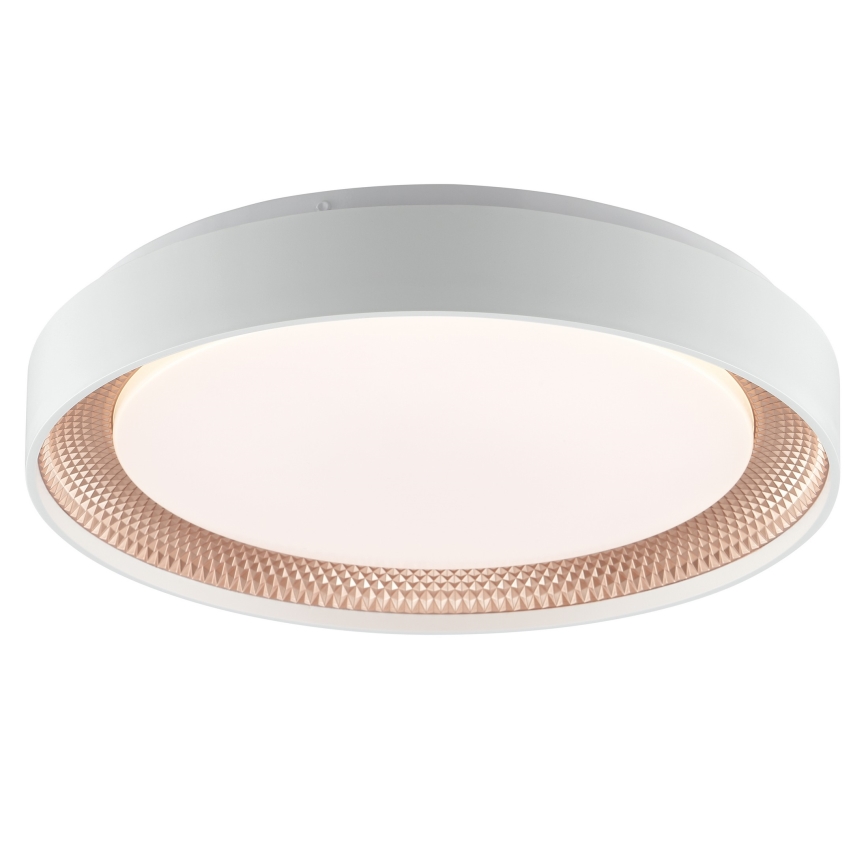 Brilliant - Plafoniera dimmerabile LED WALDO LED/24W/230V 3000-6500K Ø 38,5 cm bianco/oro rosa + telecomando