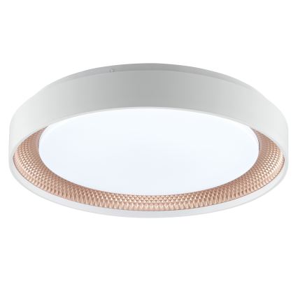 Brilliant - Plafoniera dimmerabile LED WALDO LED/24W/230V 3000-6500K Ø 38,5 cm bianco/oro rosa + telecomando