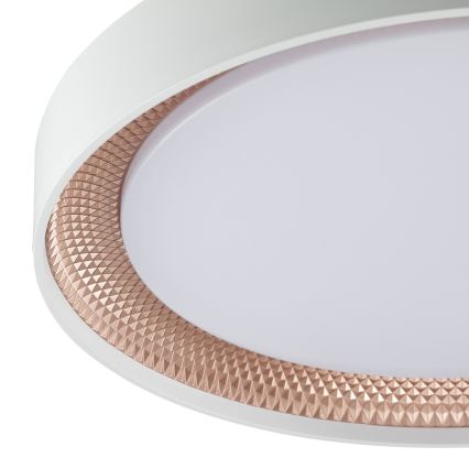 Brilliant - Plafoniera dimmerabile LED WALDO LED/24W/230V 3000-6500K Ø 38,5 cm bianco/oro rosa + telecomando