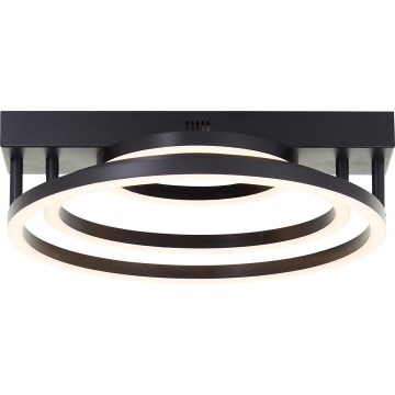 Brilliant - LED Lampada da soffitto dimmerabile PEDLEY LED/36W/230V nera