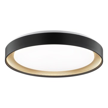 Brilliant - LED Lampada da soffitto dimmerabile WALDO LED/36W/230V 3000-6500K Ø 48,5 cm nero/oro + telecomando