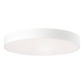 Brilliant - plafoniera a LED dimmerabile SLIMLINE LED/60W/230V 3000-6500K Ø 49 cm bianco + telecomando