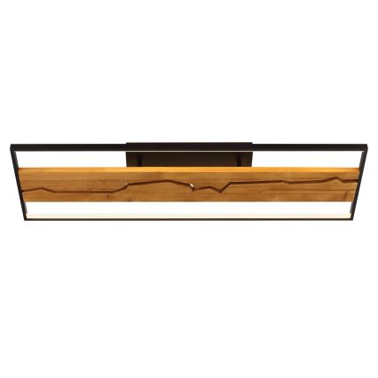 Brilliant - Plafoniera LED dimmerabile THUNDER LED/42W/230V pino