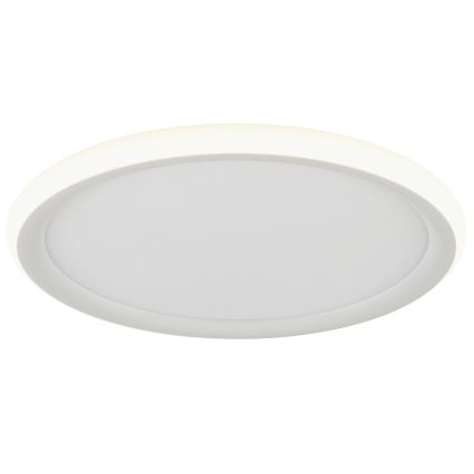 Brilliant - Plafoniera dimmerabile a LED CARLOZ LED/16W/230V Ø 30 cm bianco