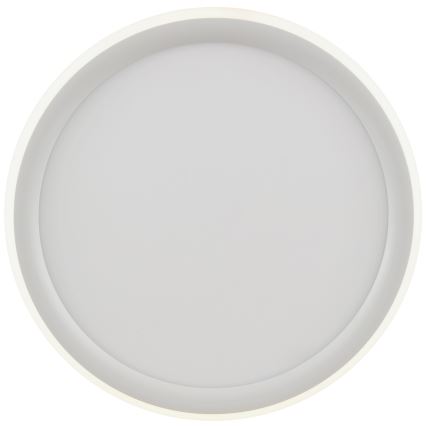 Brilliant - Plafoniera dimmerabile a LED CARLOZ LED/16W/230V Ø 30 cm bianco