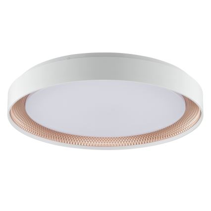 Brilliant - Plafoniera LED dimmerabile WALDO LED/36W/230V 3000-6500K diam. 48,5 cm bianco/oro rosa + telecomando