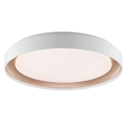 Brilliant - Plafoniera LED dimmerabile WALDO LED/36W/230V 3000-6500K diam. 48,5 cm bianco/oro rosa + telecomando