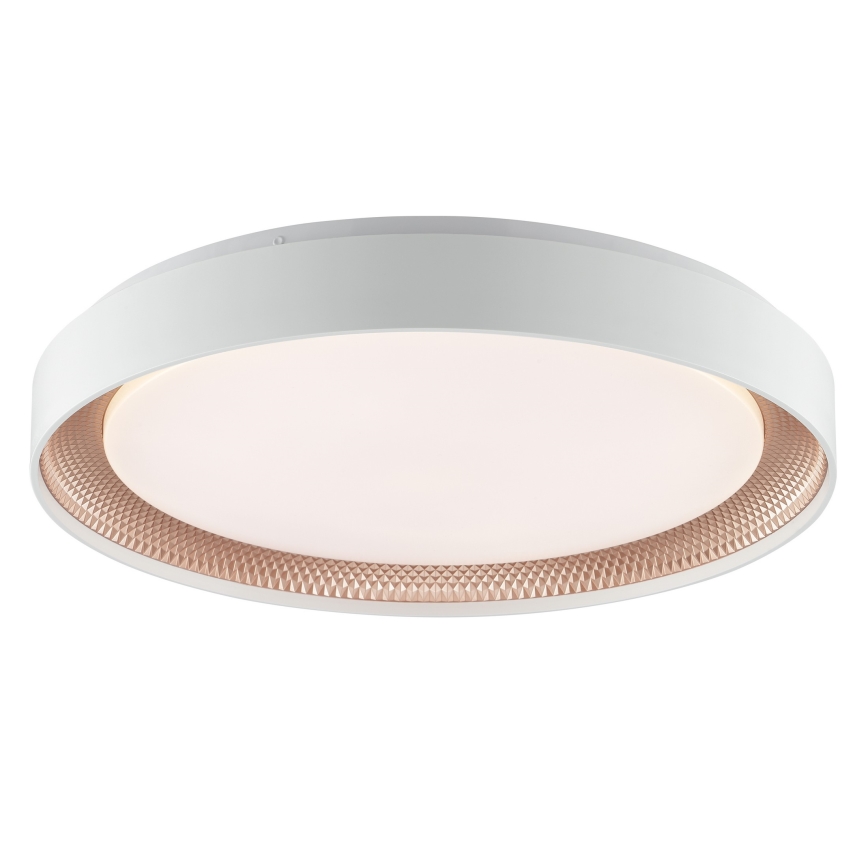 Brilliant - Plafoniera LED dimmerabile WALDO LED/36W/230V 3000-6500K diam. 48,5 cm bianco/oro rosa + telecomando