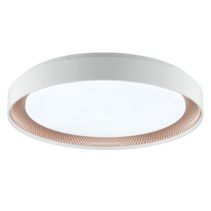 Brilliant - Plafoniera LED dimmerabile WALDO LED/36W/230V 3000-6500K diam. 48,5 cm bianco/oro rosa + telecomando
