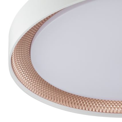 Brilliant - Plafoniera LED dimmerabile WALDO LED/36W/230V 3000-6500K diam. 48,5 cm bianco/oro rosa + telecomando