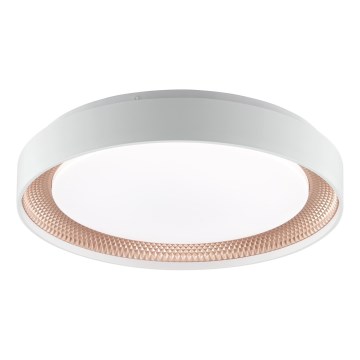 Brilliant - Plafoniera dimmerabile LED WALDO LED/24W/230V 3000-6500K Ø 38,5 cm bianco/oro rosa + telecomando