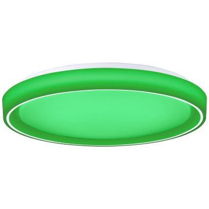 Brilliant - Plafoniera dimmerabile RGBW FLOCO LED/34W/230V 3000-6500K diametro 49,5 cm bianco + telecomando