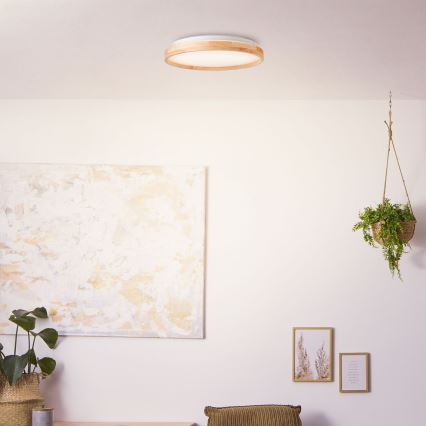 Brilliant - Plafoniera LED ALSON LED/26W/230V 3000/4500K diametro 39,5 cm gomma fig