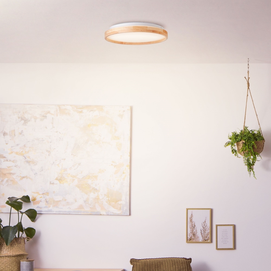 Brilliant - Plafoniera LED ALSON LED/26W/230V 3000/4500K diametro 39,5 cm gomma fig