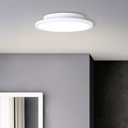 Brilliant - Plafoniera LED BUFFI LED/13W/230V diametro 25 cm 2700K