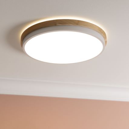 Brilliant - Plafoniera LED dimmerabile BAARLO LED/24W/230V diametro 35 cm bianco/gomma fig