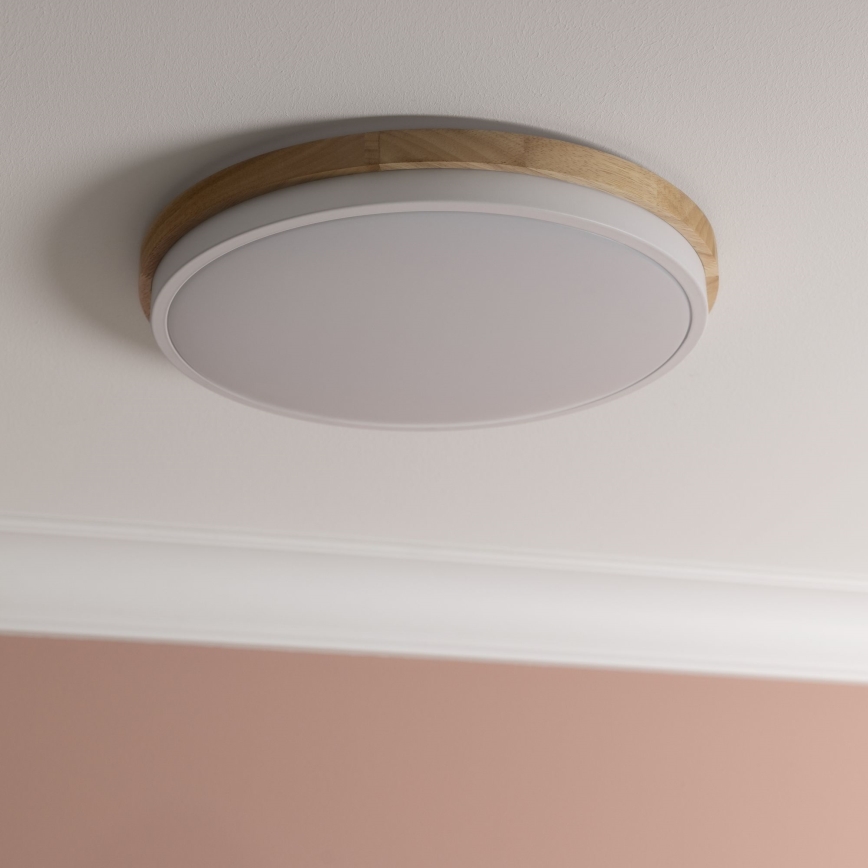 Brilliant - Plafoniera LED dimmerabile BAARLO LED/24W/230V diametro 35 cm bianco/gomma fig