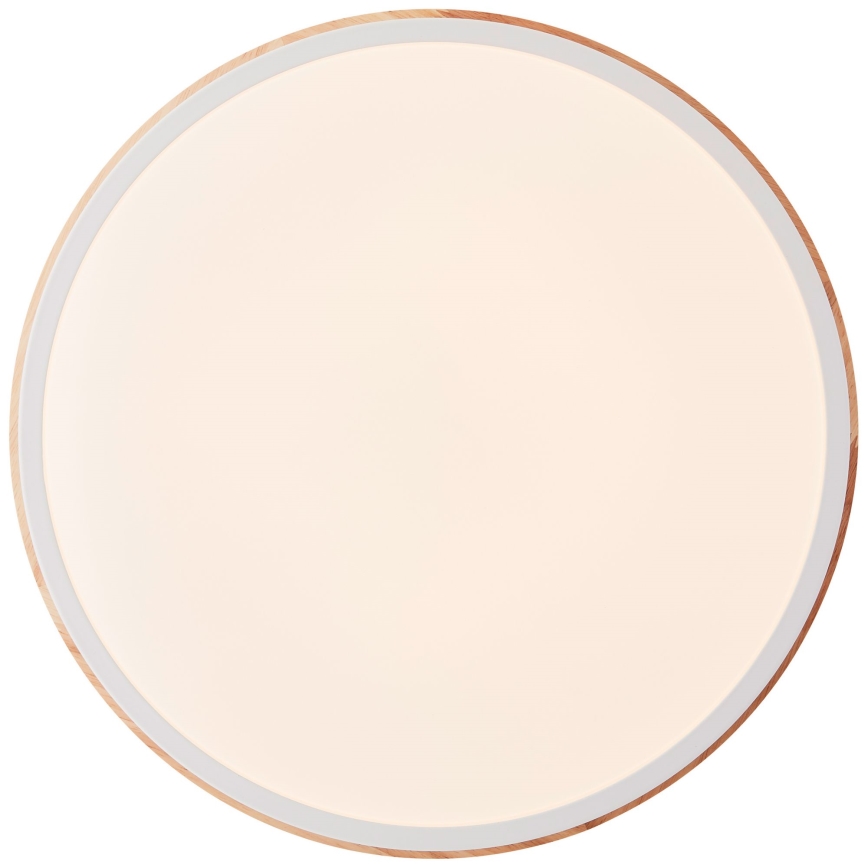 Brilliant - Plafoniera LED dimmerabile BAARLO LED/24W/230V diametro 35 cm bianco/gomma fig