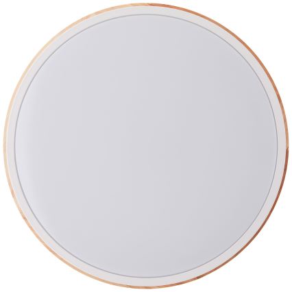 Brilliant - Plafoniera LED dimmerabile BAARLO LED/24W/230V diametro 35 cm bianco/gomma fig