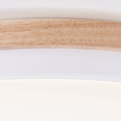 Brilliant - Plafoniera LED dimmerabile BAARLO LED/24W/230V diametro 35 cm bianco/gomma fig