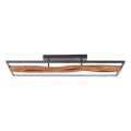 Brilliant - Plafoniera LED dimmerabile CHAUMONT LED/48W/230V gomma fig