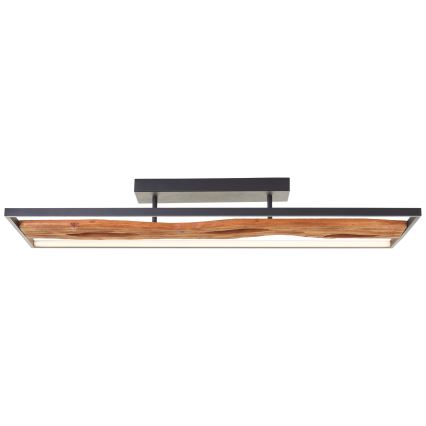 Brilliant - Plafoniera LED dimmerabile CHAUMONT LED/48W/230V gomma fig