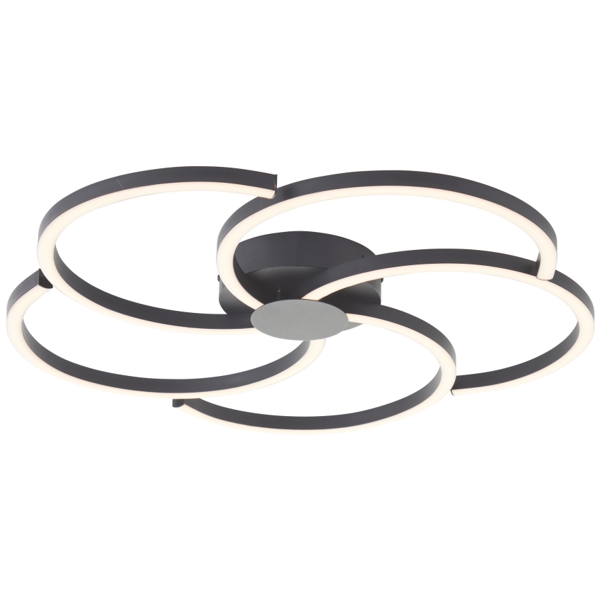 Brilliant - Plafoniera LED dimmerabile FICO LED/32W/230V diametro 57 cm nero