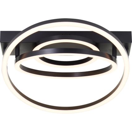 Brilliant - plafoniera LED dimmerabile PEDLEY LED/36W/230V nera