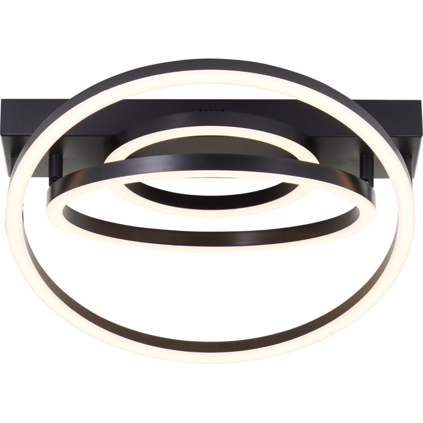 Brilliant - plafoniera LED dimmerabile PEDLEY LED/36W/230V nera