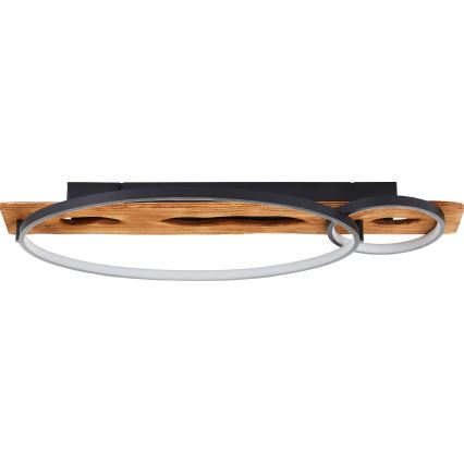 Brilliant - Plafoniera LED dimmerabile PIRUS LED/30W/230V 30x70 cm albero della gomma