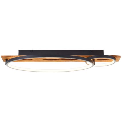 Brilliant - Plafoniera LED dimmerabile PIRUS LED/30W/230V 30x70 cm albero della gomma