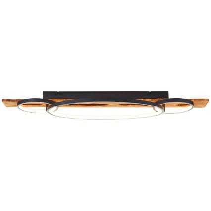 Brilliant - Plafoniera a LED dimmerabile PIRUS LED/40W/230V 30x90 cm in legno di gomma