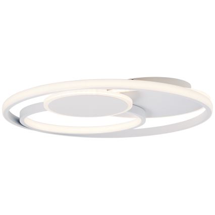 Brilliant - Plafoniera LED dimmerabile RUNDA LED/50W/230V 3000-6500K bianco + telecomando