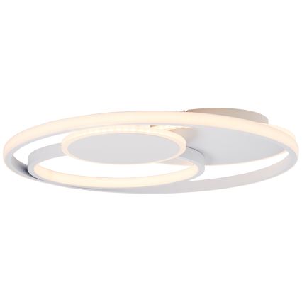 Brilliant - Plafoniera LED dimmerabile RUNDA LED/50W/230V 3000-6500K bianco + telecomando