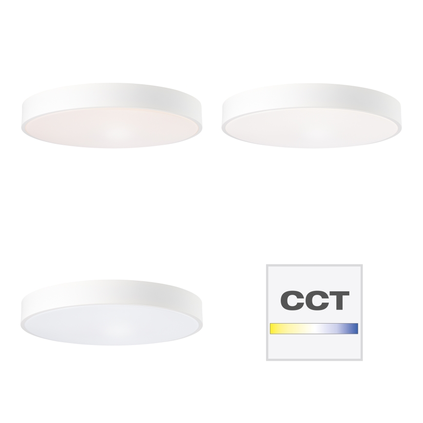 Brilliant - plafoniera a LED dimmerabile SLIMLINE LED/60W/230V 3000-6500K Ø 49 cm bianco + telecomando