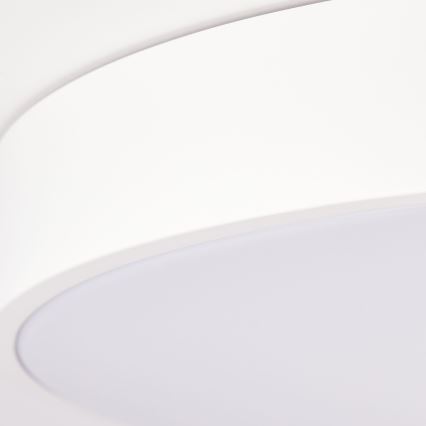 Brilliant - plafoniera a LED dimmerabile SLIMLINE LED/60W/230V 3000-6500K Ø 49 cm bianco + telecomando