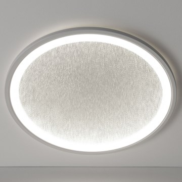 Brilliant - Plafoniera LED dimmerabile TANIDA LED/31W/230V 3000-6500K + telecomando