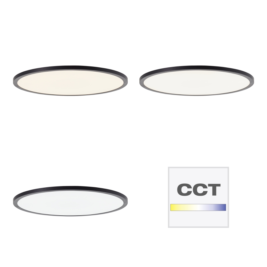 Brilliant - Plafoniera dimmerabile a LED TUCO LED/33W/230V 3000-6500K Ø 50 cm nera + telecomando