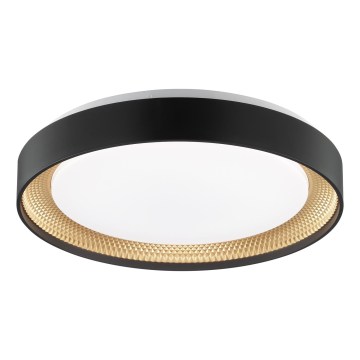 Brilliant - Plafoniera LED dimmerabile WALDO LED/24W/230V 3000-6500K Ø 38,5 cm nero/oro + telecomando