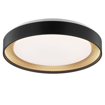 Brilliant - Plafoniera LED dimmerabile WALDO LED/24W/230V 3000-6500K Ø 38,5 cm nero/oro + telecomando