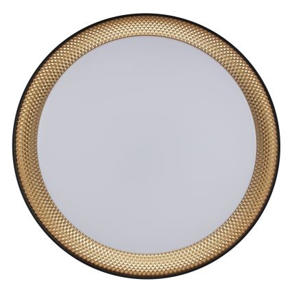 Brilliant - Plafoniera LED dimmerabile WALDO LED/24W/230V 3000-6500K Ø 38,5 cm nero/oro + telecomando