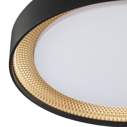 Brilliant - Plafoniera LED dimmerabile WALDO LED/24W/230V 3000-6500K Ø 38,5 cm nero/oro + telecomando
