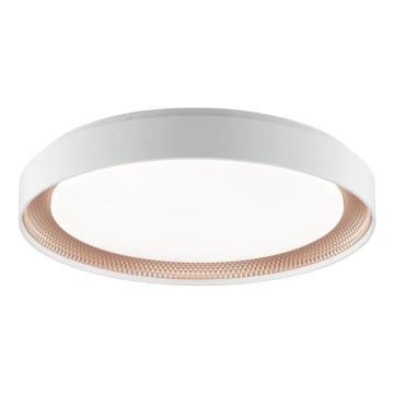 Brilliant - Plafoniera LED dimmerabile WALDO LED/36W/230V 3000-6500K diam. 48,5 cm bianco/oro rosa + telecomando