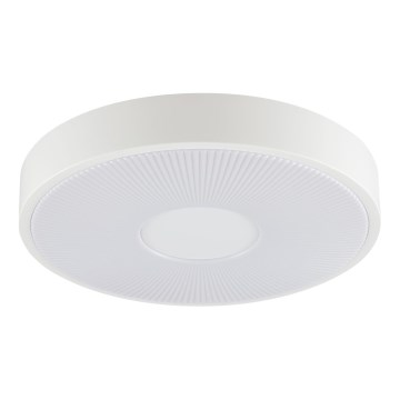 Brilliant - Plafoniera LED RAKIN LED/18W/230V Ø 33,5 cm bianca