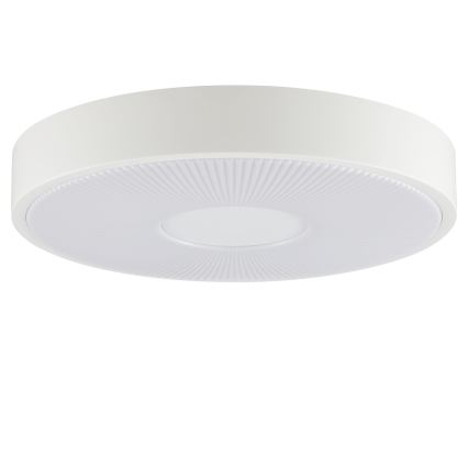 Brilliant - Plafoniera LED RAKIN LED/18W/230V Ø 33,5 cm bianca