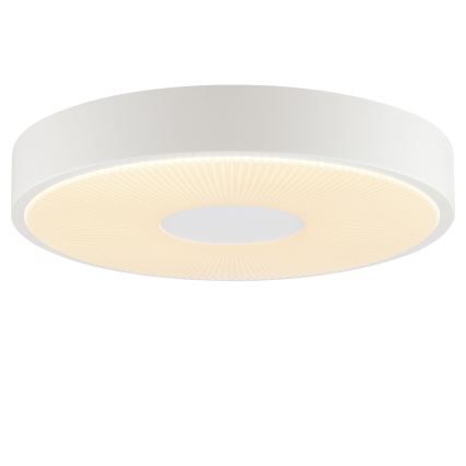 Brilliant - Plafoniera LED RAKIN LED/18W/230V Ø 33,5 cm bianca