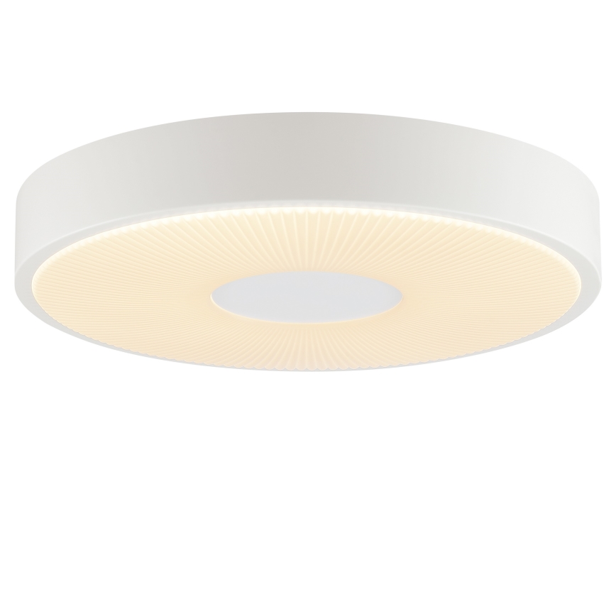Brilliant - Plafoniera LED RAKIN LED/18W/230V Ø 33,5 cm bianca